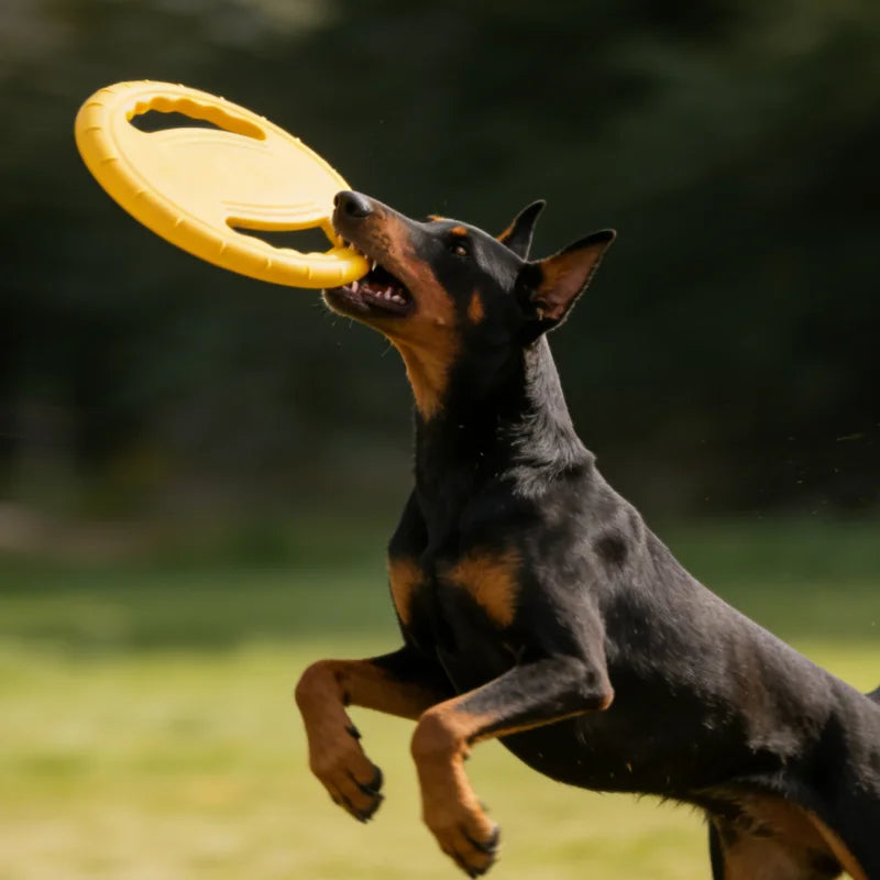 EVA Hondenfrisbee 20 cm | Zacht voor de Bek & Kauwbestendig, voor Apporteren en Training