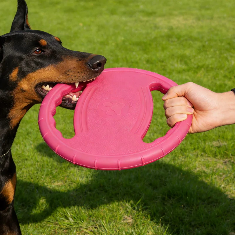 EVA Hondenfrisbee 20 cm | Zacht voor de Bek & Kauwbestendig, voor Apporteren en Training