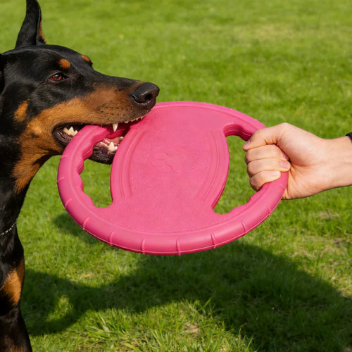 EVA Hondenfrisbee 20 cm | Zacht voor de Bek & Kauwbestendig, voor Apporteren en Training