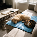 Koelmat voor honden XXL in gebruik
